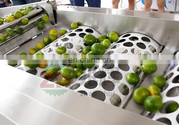 High Effective Blueberry Fruit Selecting Machine Blueberry Fruit Grading Machine photo-6