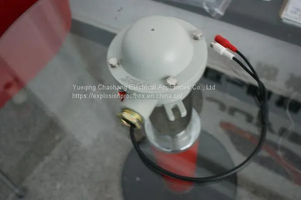 Explosion-proof Pickup Recorder Explosion-proof Monitoring Pickup photo-5