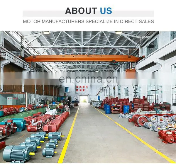 Hot Selling Large Power 5.5kw 2900 Rpm Three Phase ac Water Pump Electric Motors photo-7