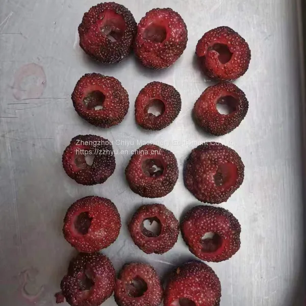 High Efficiency Automatic Fruit Pitting Machine Cherry Pitter Olive Pitter Machine for Fruit Processing Plants photo-5