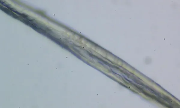 Simple Polarizing Microscope MP20 photo-3