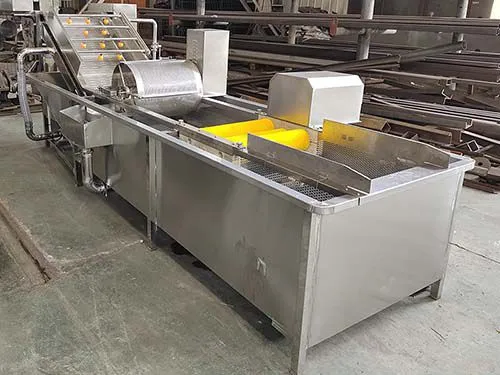 Automatic Fresh Vegetable Slicer Machine Vegetable Chips Processing Line photo-4
