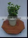Wood Box&planter$flower Planter