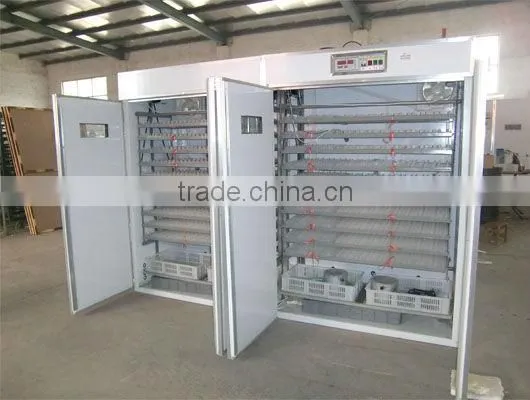 Quail hatching eggs machine