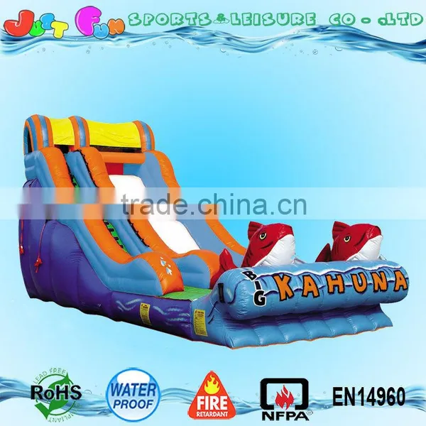 Giant Commercial Garde Inflatable Slide for Kids for Sale Supplier's Choice photo-2