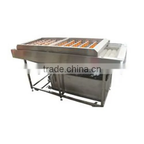 Automatice Stainless Steel and Elastic Brush Roller For Fruit Washing Machine photo-2