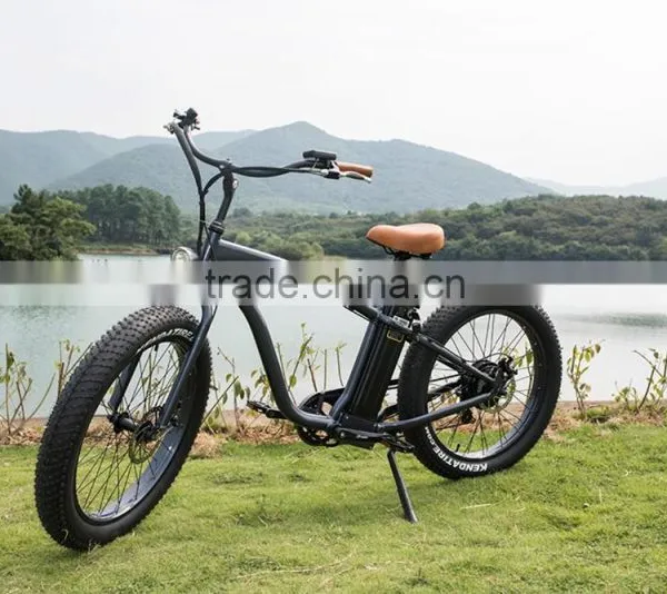 Diy Electric Motorized Bicycle Easy Rider Men e Bike Green City photo-2