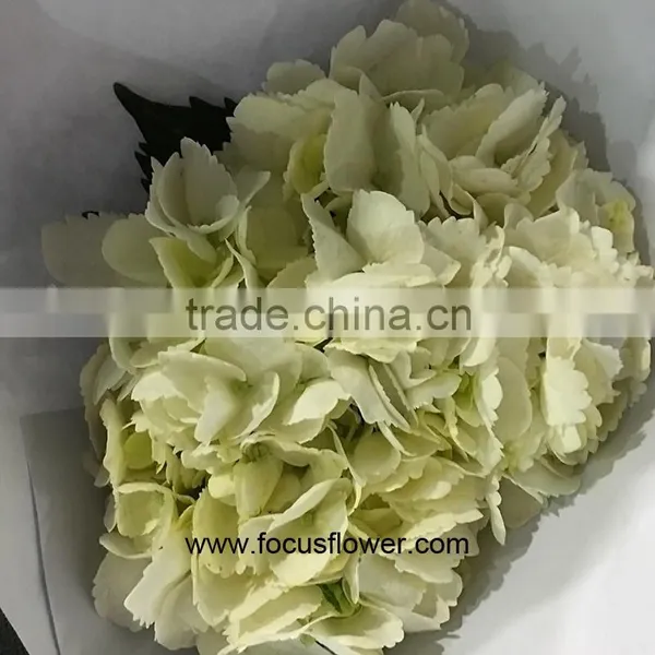 Wholesale Hydrangea Flowers For Wedding Flower Stand For Wedding photo-4