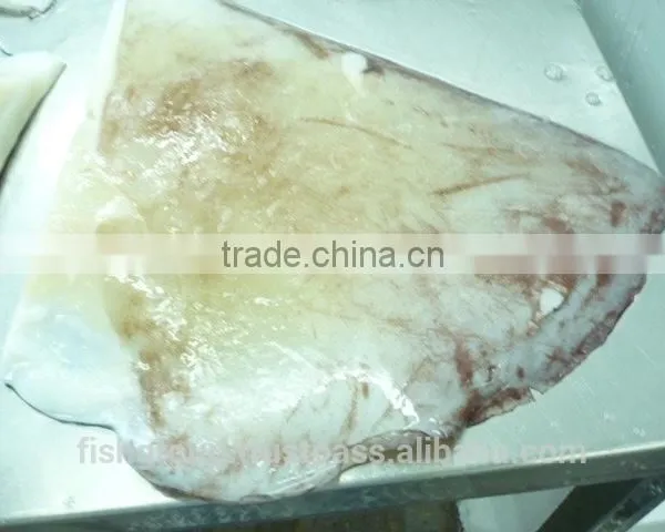 Giant Squid Wing photo-3