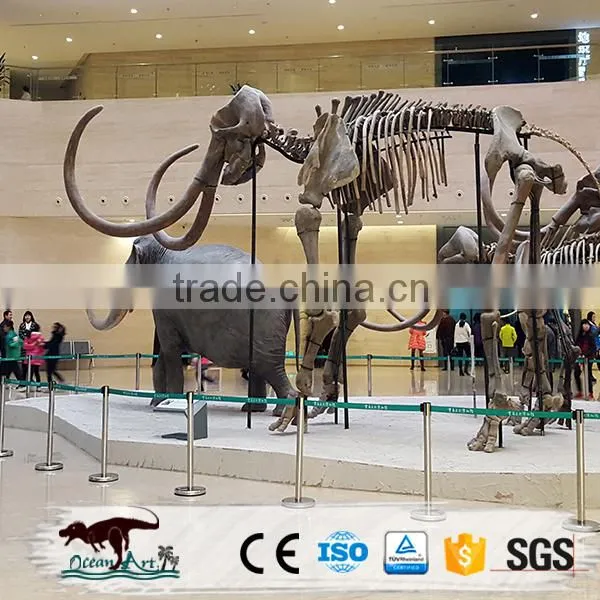 BY-VI031101 Outdoor Simulation Animal photo-5