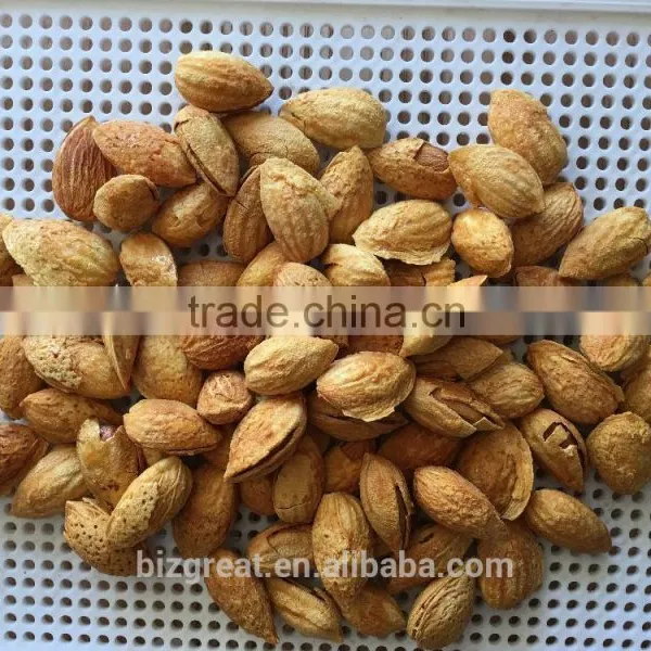 Roasted Salted Apricot Kernels Without Shell for Hot Sale photo-5