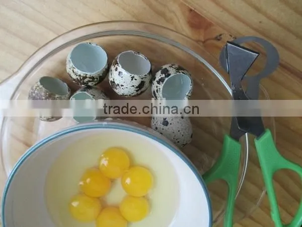 Made In China Quail Eggs Scissors photo-3