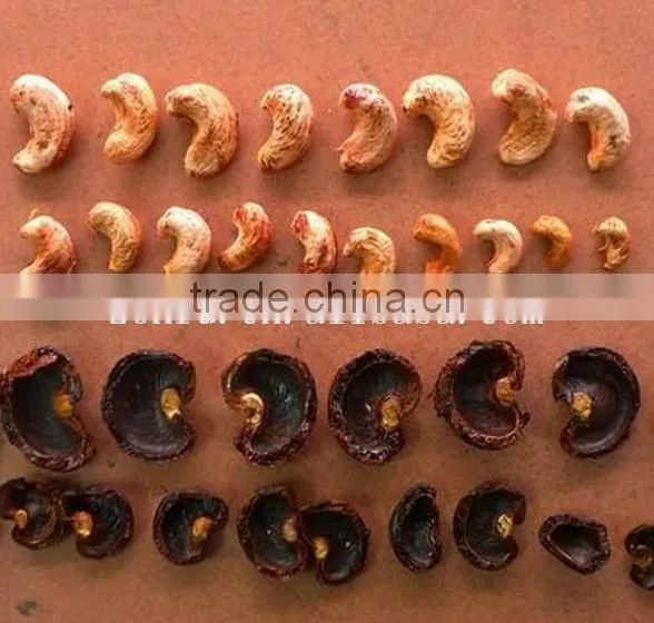 40kg/h Best Price Automatic Cashew Nut Shelling Machine photo-2