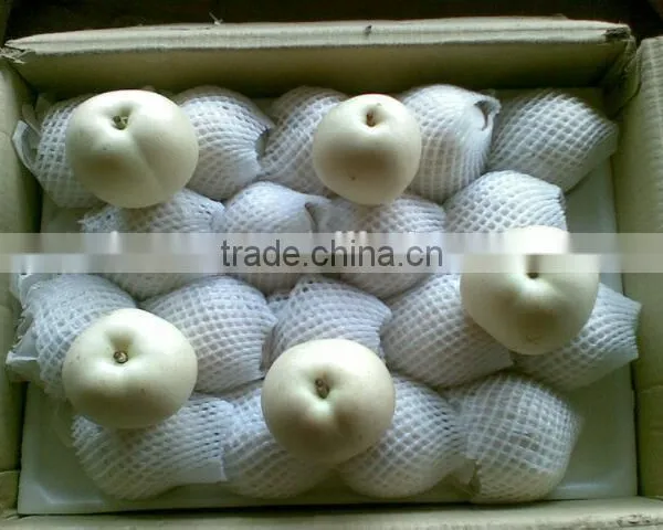 China Fresh Emerald Pear With Cheap Price and Good Quality photo-4
