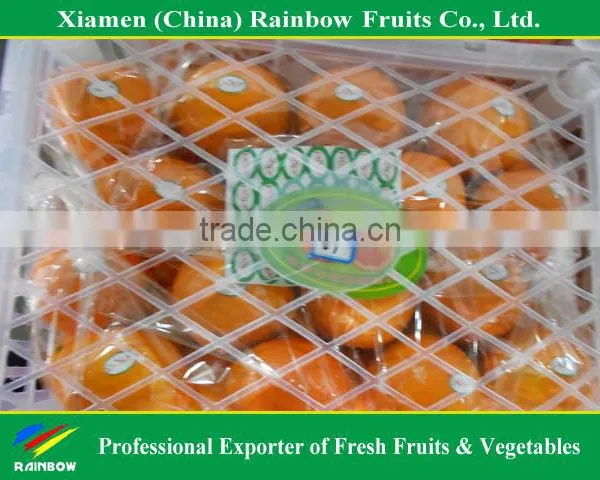 Fresh Mandarin Orange Navel Orange photo-5