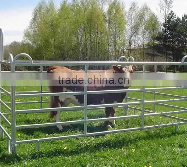 Fram Economy Type Cattle Fence Panels Corral Fence Panels photo-4