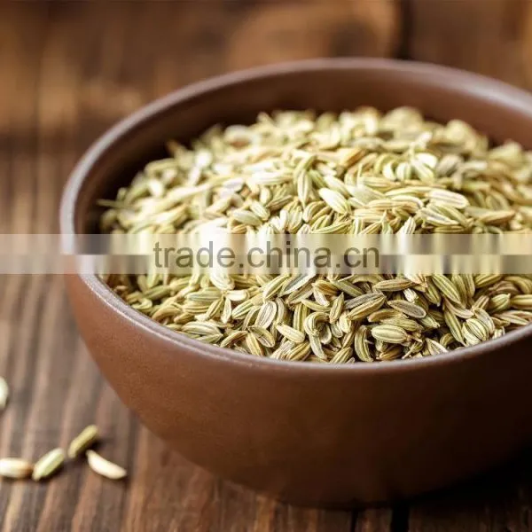 Best Quality Fennel Seeds at Best Price photo-4