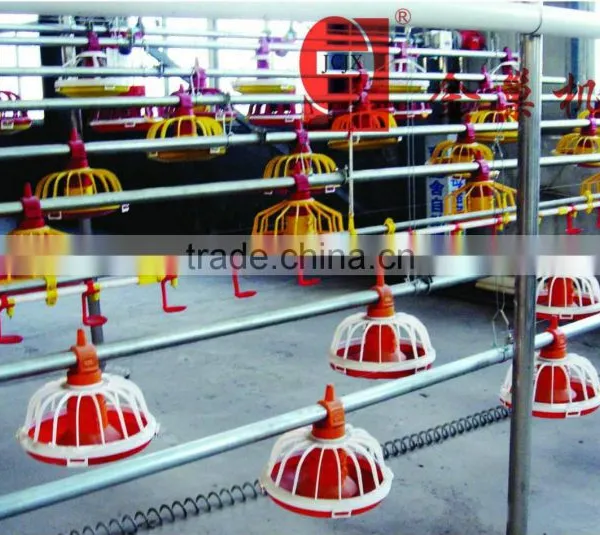 Poultry Automatic Feeding and Drinking System
