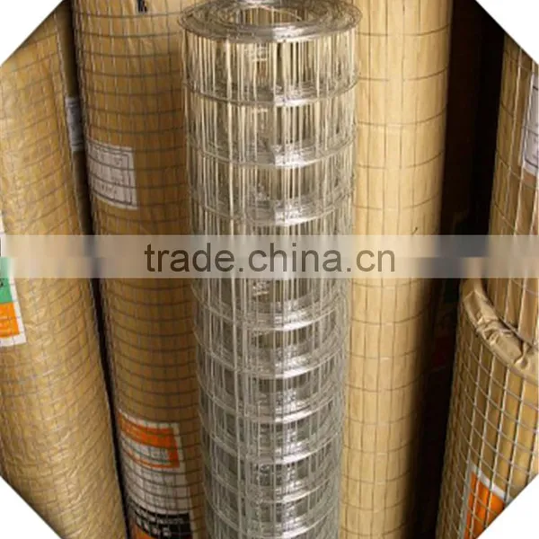 Galvanized Welded Wire Mesh / Weled Wire Mesh Factory photo-3