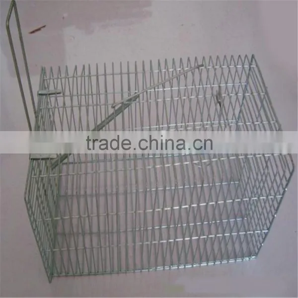 Portable Metal Animal Cage With Double Doors/small Animal Cage/birds/dog/rabbit Cage photo-6