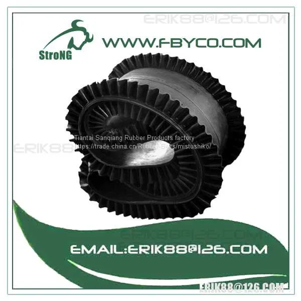 ee Conveyor Belt photo-4