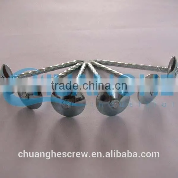 Umbrella Head Roofing Nails With Rubber Washer photo-2
