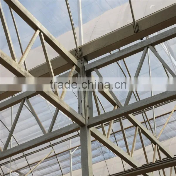 Plastic Film Horticultural Green House for Flower and Vegetable photo-2