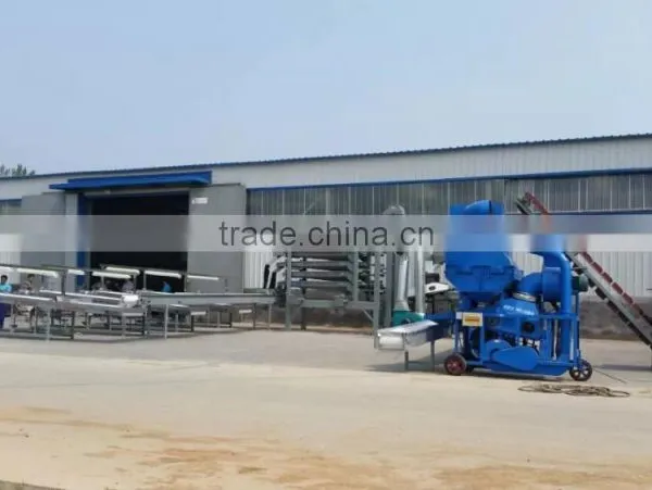 Peanut Color Sorter Grading Line