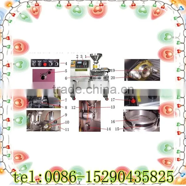 6YY Peanut Oil Press Machine photo-4