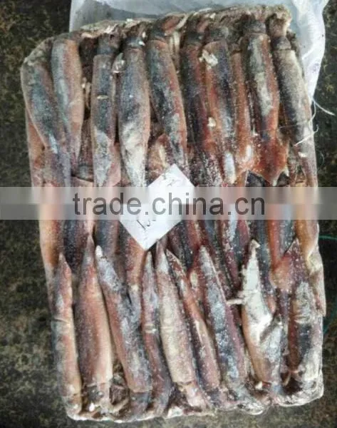 Under 150g Frozen Illex Squid for Sale photo-4