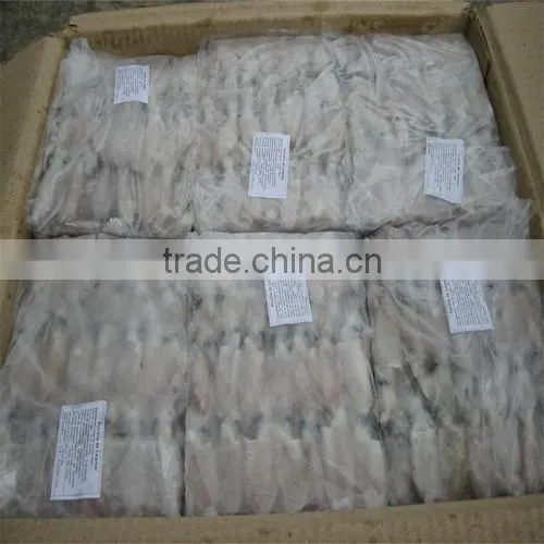 Hot Sale Whole Round Frozen Baby Squid photo-4