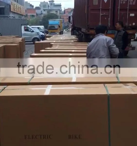 Manufacture Factory! Harley Electric Bike, City Scooter, City Coco,scooter,bike,electric Scooter photo-6