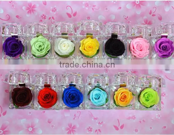 New Products Natural Fresh Preserved Flower Roses Multicolored Preserved Flower