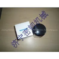 Shantui Excavator SE60 Fuel Filter
