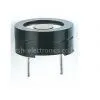 Magnetic Transducer