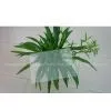 Greenhouse Hollow Polycarbonate Sheet