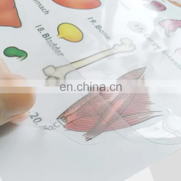 Transparent Adhesive Labels/logo Printed Stickers/PVC Seif Adhesive Stickers for Piece photo-5