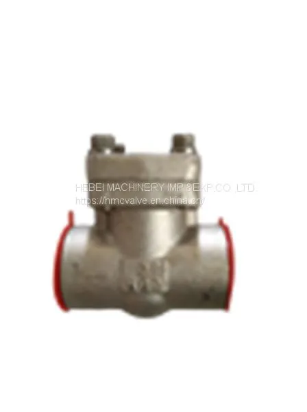 DIN/API Cast Steel Check Valve photo-3