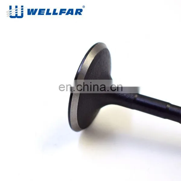 Rich Stock Guaranteed SMR994497 SMR994498 4g69 Engine Valve Auto Parts photo-4