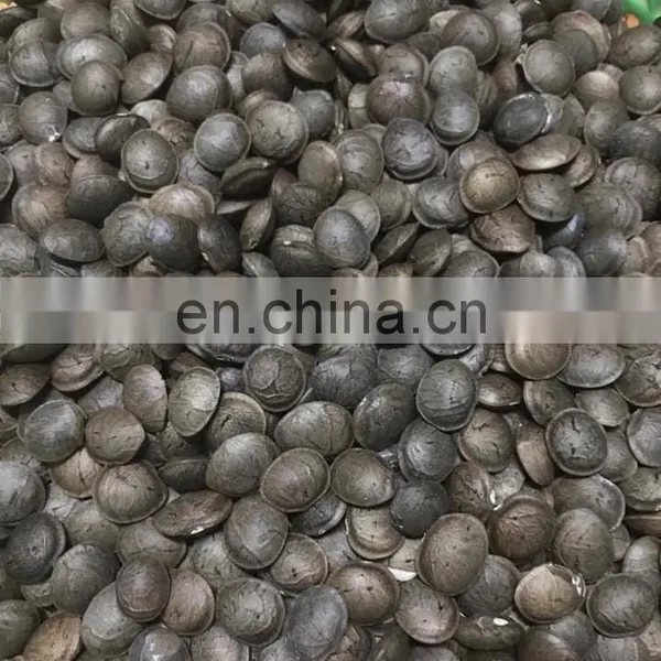 SELLING RAW DRIED SACHA INCHI NUTS FROM VIETNAM photo-2