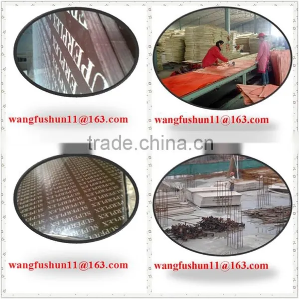 18mm Brown Film Faced Shuttering Plywood for Construction Material Vietnam Film Faced Plywood photo-6