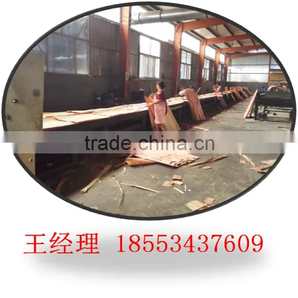 Malaysia Packing Usage Poplar LVL for Sales/poplar LVL for Packing photo-2