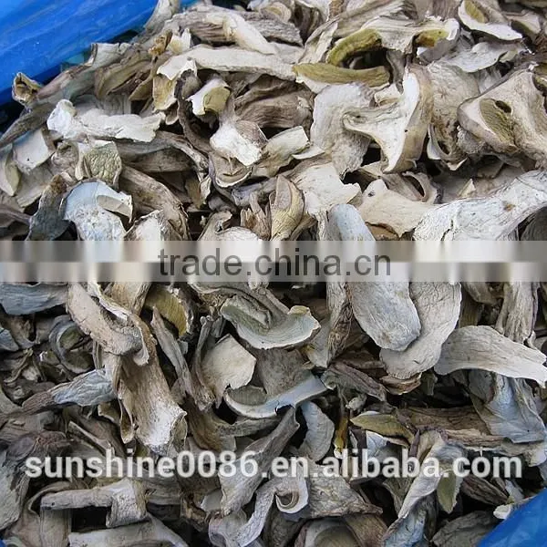 High Quality Dried Boletus From Yuannan photo-4