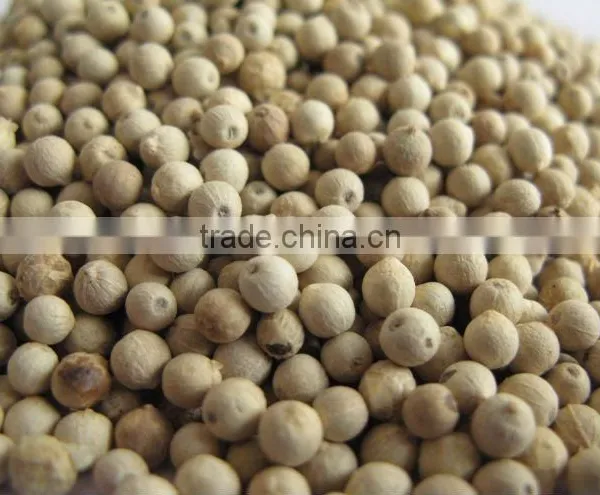High Quality White Pepper Originated Vietnam