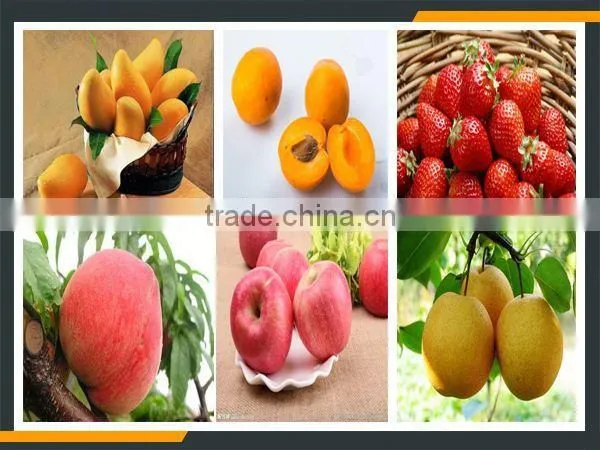 Leader High Quality Mango Peeling Pitting Pulping Machine Offering Its Services to Overseas photo-6