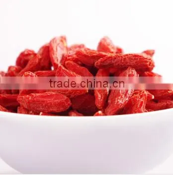 Ningxia Gouqi