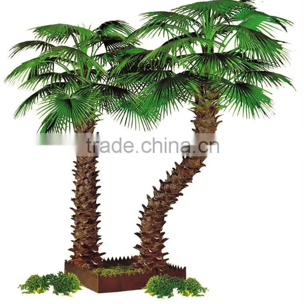 Washingtong's Palm Tree