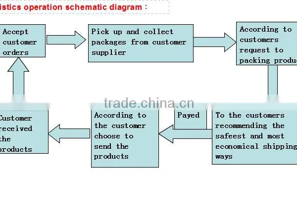 China Freight Forwarder Transport for to Saudi Arabia/. photo-5