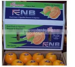High Quality Hot Sell Mandarin Orange