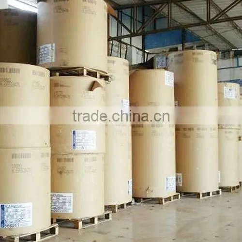 Food Grade One Side pe Coated Paper in Roll/paper in Sheet for Paper Cup, Paper Cup Raw Material photo-6
